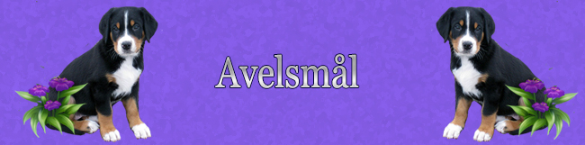 Avelsml