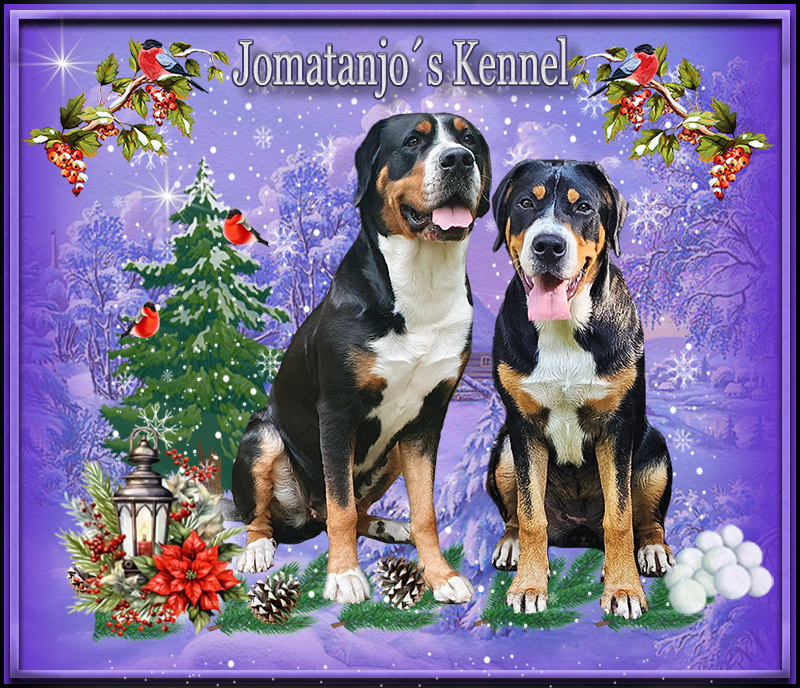 Jomatanjos Kennel